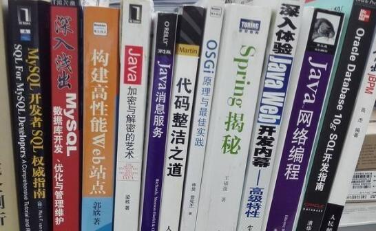軟件開(kāi)發(fā)有哪些書(shū)籍是必看的？